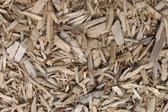 biomass boilers Stechford